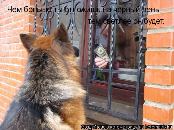 Чем больше ты отложишь на чёрный день, тем светлее он будет.... Котоматрица: Чем больше ты отложишь на чёрный день, тем светлее он будет.