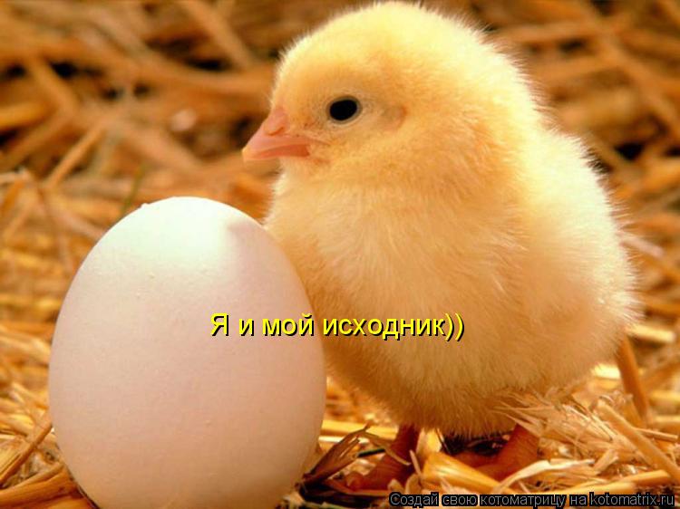 Я и мой исходник))... Котоматрица: Я и мой исходник))
