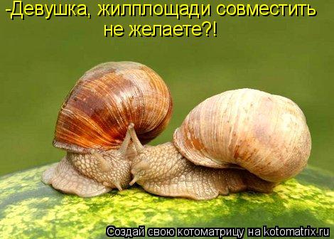 -Девушка, жилплощади совместить не желаете?!... Котоматрица: -Девушка, жилплощади совместить не желаете?!