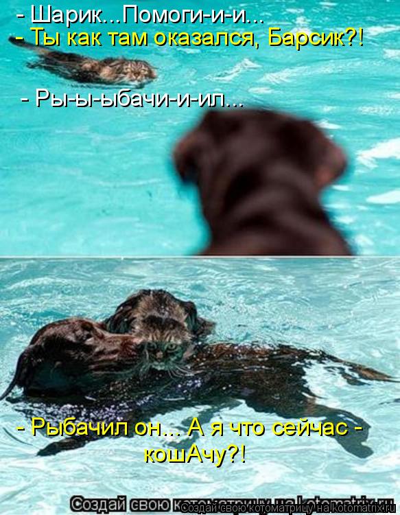 Котоматрица: - Шарик...Помоги-и-и... - Ты как там оказался, Барсик?! - Ры-ы-ыбачи-и-ил... - Рыбачил он... А я что сейчас -  кошАчу?!