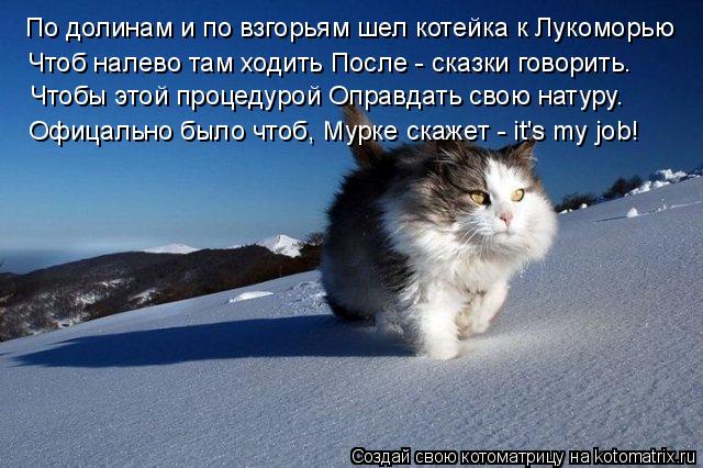 По долинам и по взгорьям шел котейка к Лукоморью Чтоб налево там ходить После - сказки говорить. Чтоб... Котоматрица: По долинам и по взгорьям шел котейка к Лукоморью Чтоб налево там ходить После - сказки говорить. Чтобы этой процедурой Оправдать свою натур
