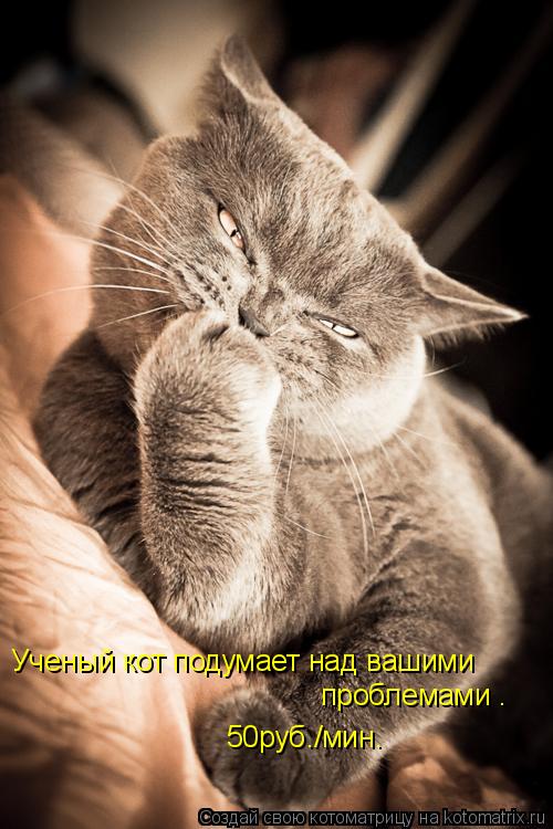 Котоматрица: Ученый кот подумает над вашими  проблемами . 50руб./мин.