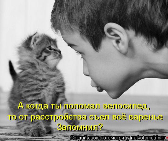 Котоматрица: А когда ты поломал велосипед, то от расстройства съел всё варенье Запомнил?