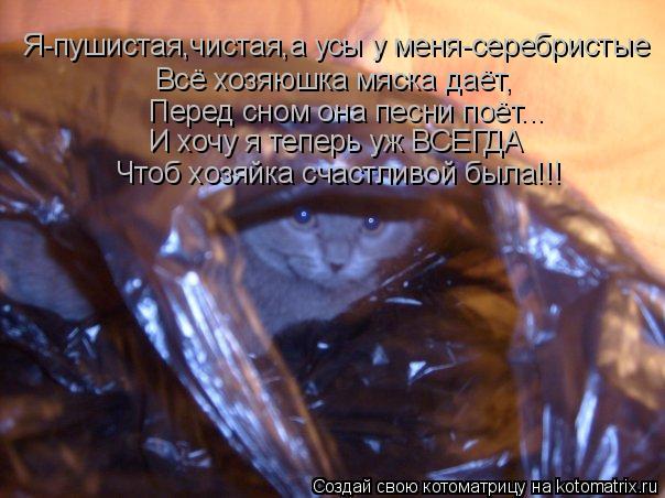 Котоматрица: Всё хозяюшка мяска даёт, Перед сном она песни поёт... И хочу я теперь уж ВСЕГДА Чтоб хозяйка счастливой была!!! Я-пушистая,чистая,а усы у меня-с