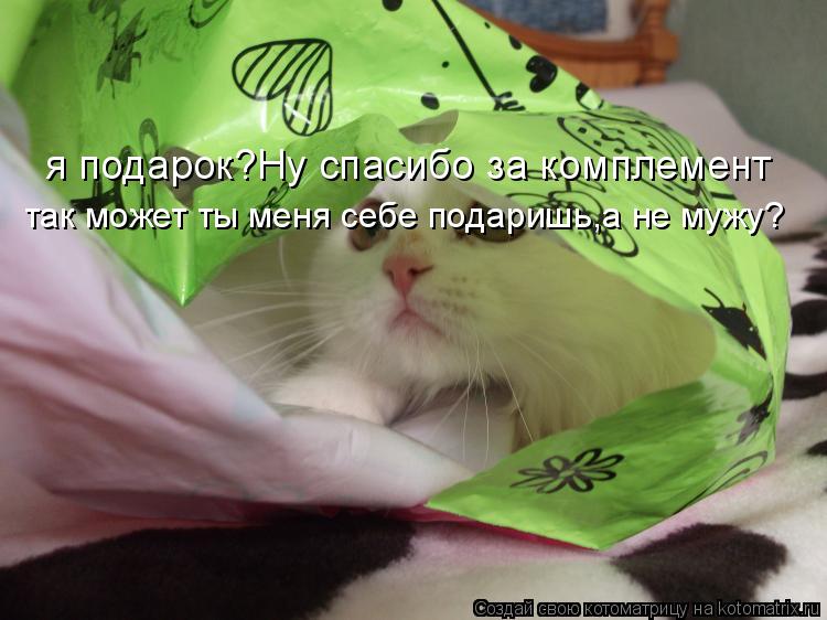 Котоматрица: я подарок?Ну спасибо за комплемент так может ты меня себе подаришь,а не мужу?