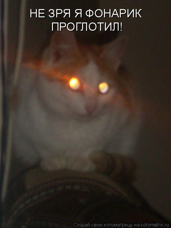 Котоматрица: НЕ ЗРЯ Я ФОНАРИК ПРОГЛОТИЛ!