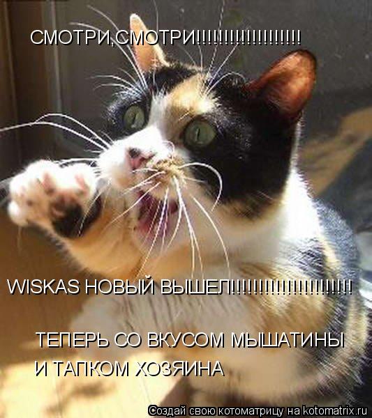 СМОТРИ,СМОТРИ!!!!!!!!!!!!!!!!!!! WISKAS НОВЫЙ ВЫШЕЛ!!!!!!!!!!!!!!!!!!!!!! ТЕПЕРЬ СО ВКУСОМ МЫШАТИНЫ И... Котоматрица: СМОТРИ,СМОТРИ!!!!!!!!!!!!!!!!!!! WISKAS НОВЫЙ ВЫШЕЛ!!!!!!!!!!!!!!!!!!!!!! ТЕПЕРЬ СО ВКУСОМ МЫШАТИНЫ И ТАПКОМ ХОЗЯИНА
