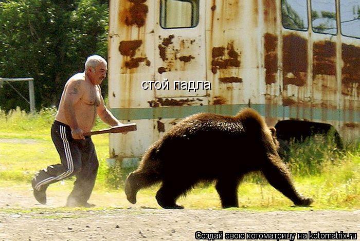 стой падла... Котоматрица: стой падла