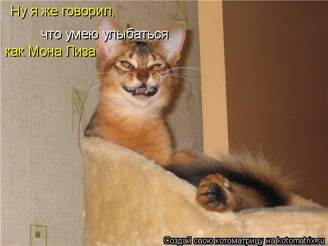 Ну я же говорил, что умею улыбаться как Мона Лиза... Котоматрица: Ну я же говорил, что умею улыбаться как Мона Лиза