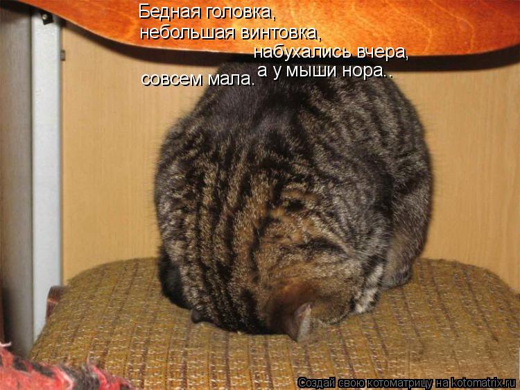 Бедная головка, небольшая винтовка, набухались вчера, а у мыши нора.. совсем мала.... Котоматрица: Бедная головка, небольшая винтовка, набухались вчера, а у мыши нора.. совсем мала.