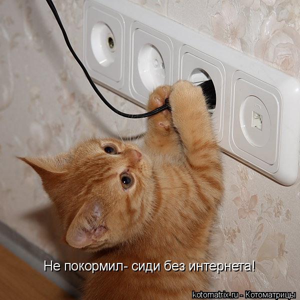 Не покормил- сиди без интернета!... Котоматрица: Не покормил- сиди без интернета!