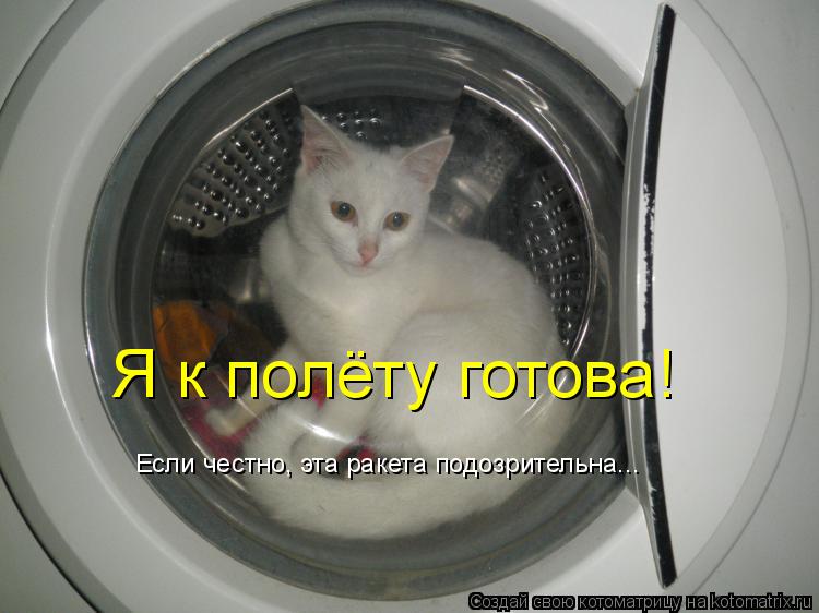 Котоматрица: Я к полёту готова! Если честно, эта ракета подозрительна...
