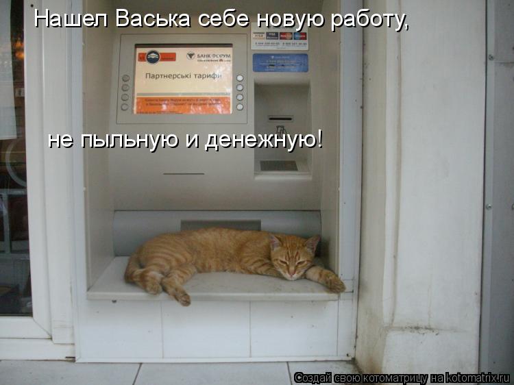 Котоматрица: Нашел Васька себе новую работу, не пыльную и денежную!