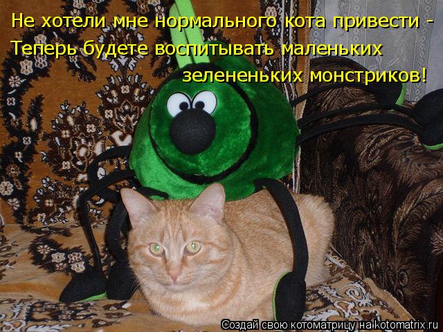 Котоматрица: Не хотели мне нормального кота привести - Теперь будете воспитывать маленьких зелененьких монстриков!