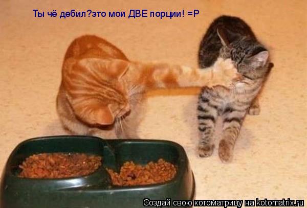 Котоматрица: Ты чё дебил?это мои ДВЕ порции! =Р