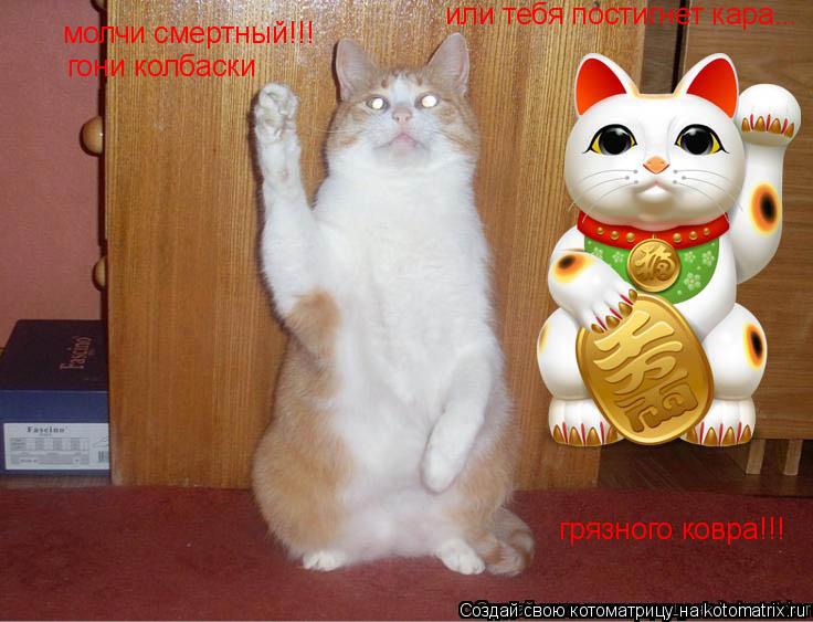 молчи смертный!!! гони колбаски или тебя постигнет кара... грязного ковра!!!... Котоматрица: молчи смертный!!! гони колбаски или тебя постигнет кара... грязного ковра!!!