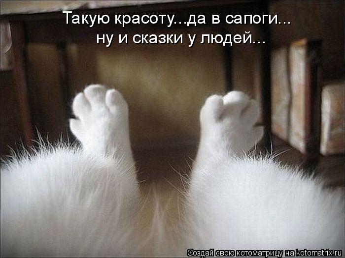 Такую красоту...да в сапоги... ну и сказки у людей...... Котоматрица: Такую красоту...да в сапоги... ну и сказки у людей...