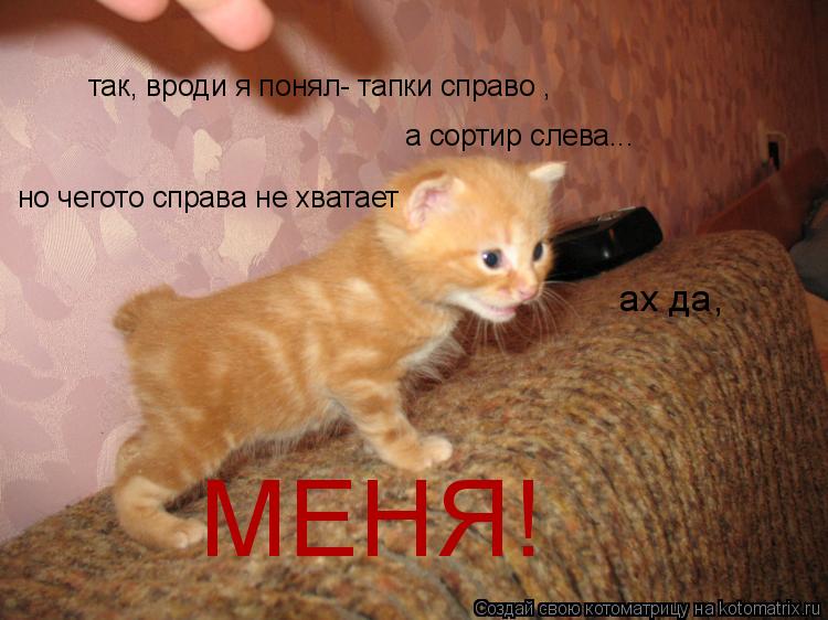 так, вроди я понял- тапки справо , а сортир слева... но чегото справа не хватает ах да, МЕНЯ!... Котоматрица: так, вроди я понял- тапки справо , а сортир слева... но чегото справа не хватает ах да, МЕНЯ!