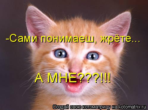 -Сами понимаеш, жрёте... А МНЕ???!!!... Котоматрица: -Сами понимаеш, жрёте... А МНЕ???!!!