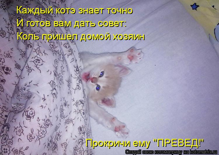 Каждый котэ знает точно И готов вам дать совет: Коль пришел домой хозяин Прокричи ему "ПРЕВЕД!"... Котоматрица: Каждый котэ знает точно И готов вам дать совет: Коль пришел домой хозяин Прокричи ему "ПРЕВЕД!"