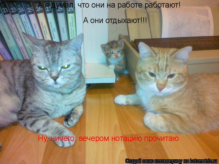 А я думал, что они на работе работают! А они отдыхают!!! Ну, ничего, вечером нотацию прочитаю... Котоматрица: А я думал, что они на работе работают! А они отдыхают!!! Ну, ничего, вечером нотацию прочитаю