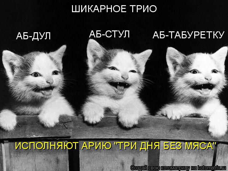ШИКАРНОЕ ТРИО АБ-ДУЛ АБ-СТУЛ АБ-ТАБУРЕТКУ ИСПОЛНЯЮТ АРИЮ "ТРИ ДНЯ БЕЗ МЯСА"... Котоматрица: ШИКАРНОЕ ТРИО АБ-ДУЛ АБ-СТУЛ АБ-ТАБУРЕТКУ ИСПОЛНЯЮТ АРИЮ "ТРИ ДНЯ БЕЗ МЯСА"