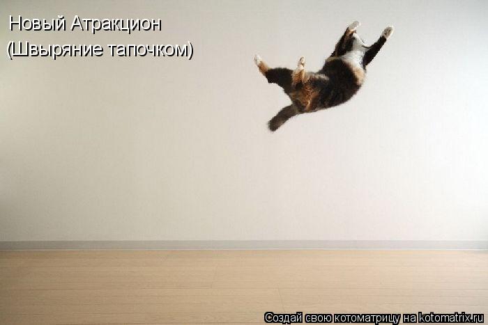Новый Атракцион (Швыряние тапочком)... Котоматрица: Новый Атракцион (Швыряние тапочком)
