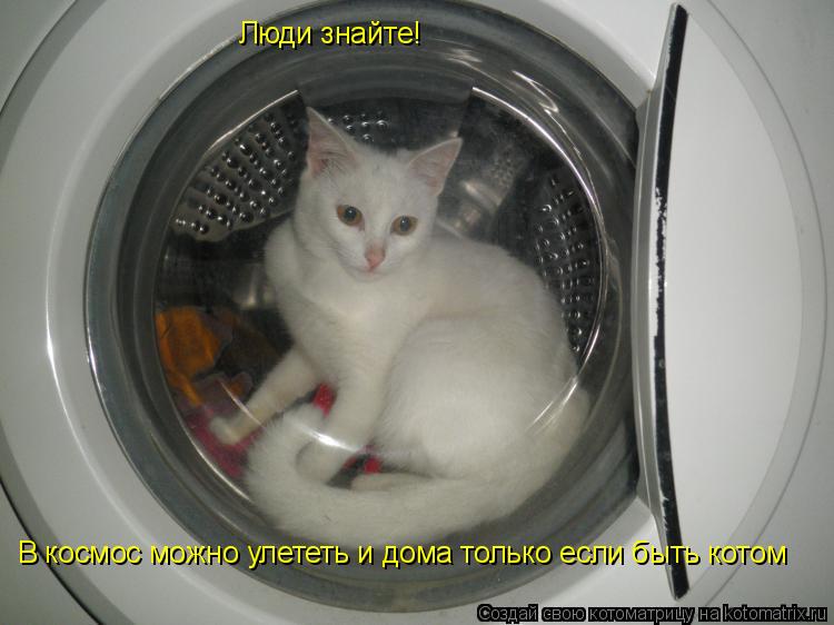 Люди знайте! В космос можно улететь и дома только если быть котом... Котоматрица: Люди знайте! В космос можно улететь и дома только если быть котом