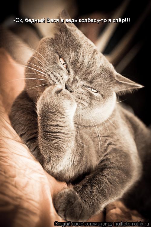 -Эх, бедный Вася а ведь колбасу-то я спёр!!!... Котоматрица: -Эх, бедный Вася а ведь колбасу-то я спёр!!!