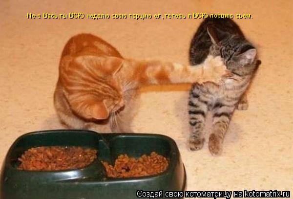 -Не-е Вась,ты ВСЮ неделю свою порцию ел, теперь я ВСЮ порцию съем.... Котоматрица: -Не-е Вась,ты ВСЮ неделю свою порцию ел, теперь я ВСЮ порцию съем.