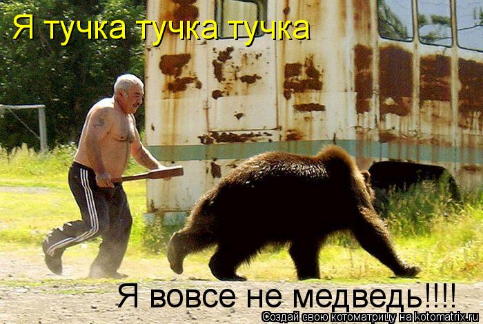 Я тучка тучка тучка Я вовсе не медведь!!!!... Котоматрица: Я тучка тучка тучка Я вовсе не медведь!!!!