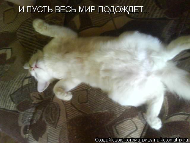 И ПУСТЬ ВЕСЬ МИР ПОДОЖДЕТ...... Котоматрица: И ПУСТЬ ВЕСЬ МИР ПОДОЖДЕТ...