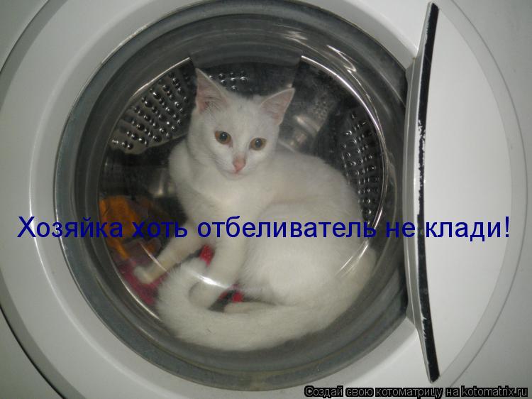 Хозяйка хоть отбеливатель не клади!... Котоматрица: Хозяйка хоть отбеливатель не клади!