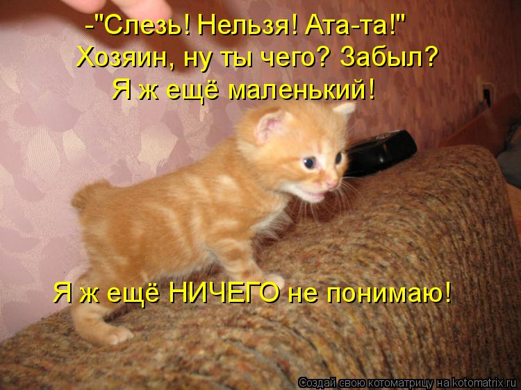 -"Слезь! Нельзя! Ата-та!" Хозяин, ну ты чего? Забыл? Я ж ещё маленький! Я ж ещё НИЧЕГО не понимаю!... Котоматрица: -"Слезь! Нельзя! Ата-та!" Хозяин, ну ты чего? Забыл? Я ж ещё маленький! Я ж ещё НИЧЕГО не понимаю!