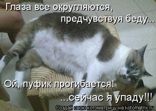 Глаза все округляются, предчувствуя беду... Ой, пуфик прогибается! ...сейчас я упаду!!!... Котоматрица: Глаза все округляются, предчувствуя беду... Ой, пуфик прогибается! ...сейчас я упаду!!!