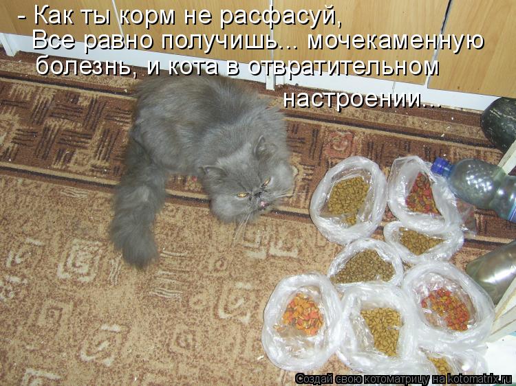 - Как ты корм не расфасуй, Все равно получишь... мочекаменную болезнь, и кота в отвратительном настро... Котоматрица: - Как ты корм не расфасуй, Все равно получишь... мочекаменную болезнь, и кота в отвратительном настроении...