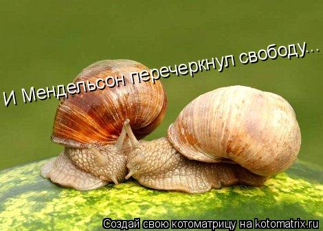 И Мендельсон перечеркнул свободу...... Котоматрица: И Мендельсон перечеркнул свободу...