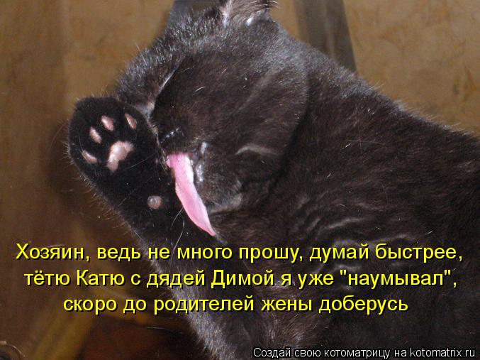 Хозяин, ведь не много прошу, думай быстрее, тётю Катю с дядей Димой я уже "наумывал", скоро до родите... Котоматрица: Хозяин, ведь не много прошу, думай быстрее, тётю Катю с дядей Димой я уже "наумывал", скоро до родителей жены доберусь