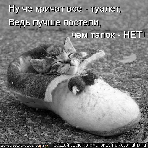 Ну че кричат все - туалет, Ведь лучше постели, чем тапок - НЕТ!... Котоматрица: Ну че кричат все - туалет, Ведь лучше постели, чем тапок - НЕТ!