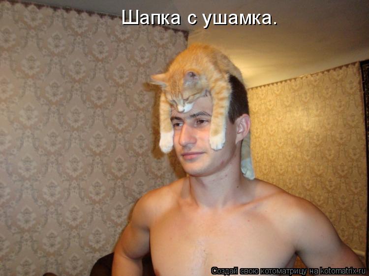 Котоматрица: Шапка с ушамка.