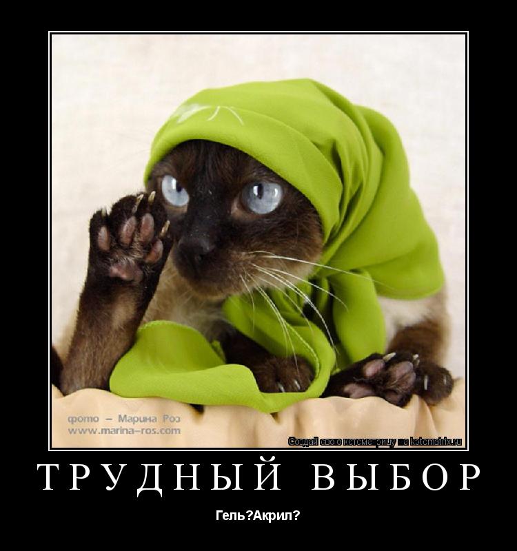 Трудный выбор Гель?Акрил?... Котоматрица: Трудный выбор Гель?Акрил?