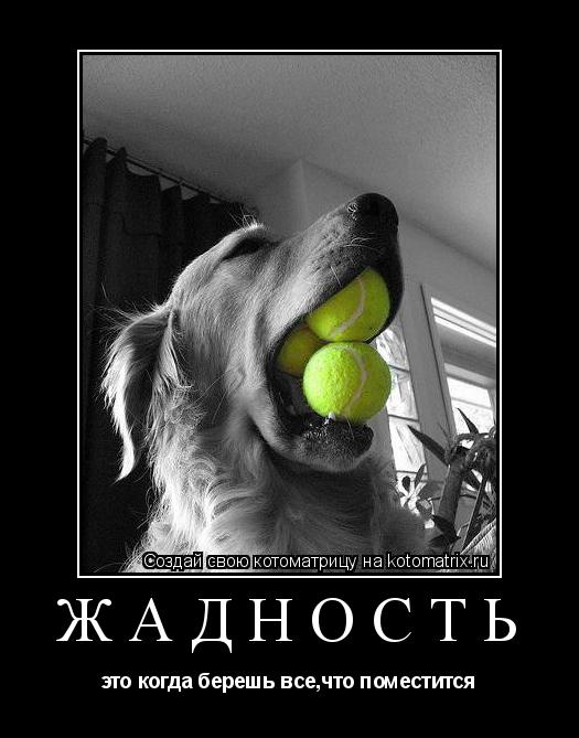 Жадность это когда берешь все,что поместится... Котоматрица: Жадность это когда берешь все,что поместится