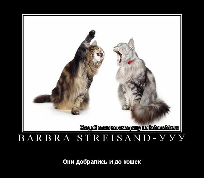Barbra Streisand-ууу Они добрались и до кошек... Котоматрица: Barbra Streisand-ууу Они добрались и до кошек