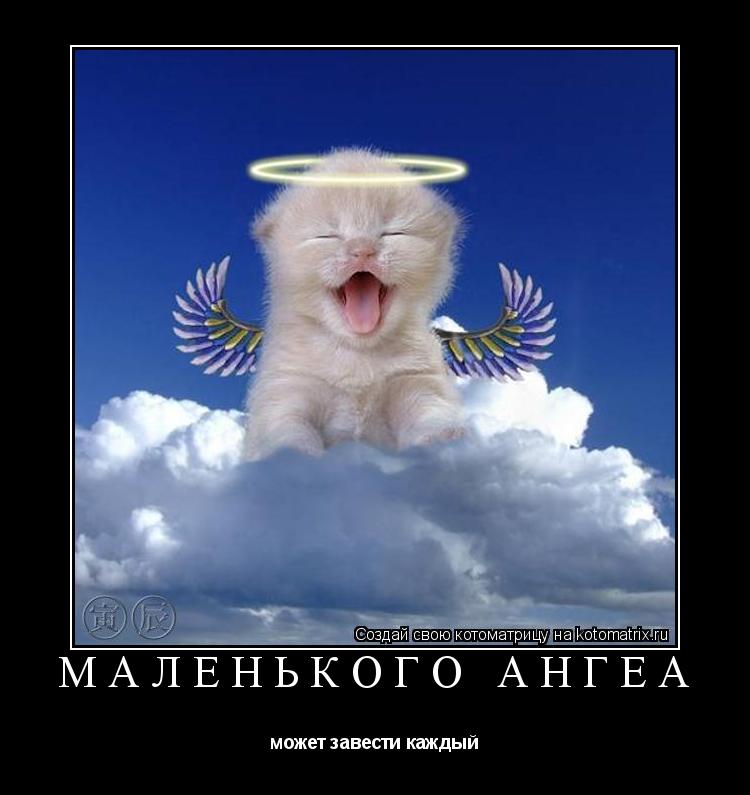Маленького ангеа может завести каждый... Котоматрица: Маленького ангеа может завести каждый