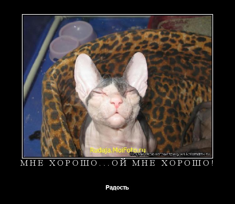 Мне хорошо...ой мне хорошо! Радость... Котоматрица: Мне хорошо...ой мне хорошо! Радость