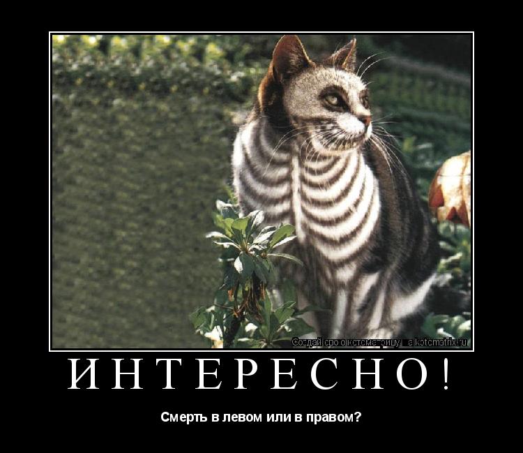 ИНТЕРЕСНО! Смерть в левом или в правом?... Котоматрица: ИНТЕРЕСНО! Смерть в левом или в правом?
