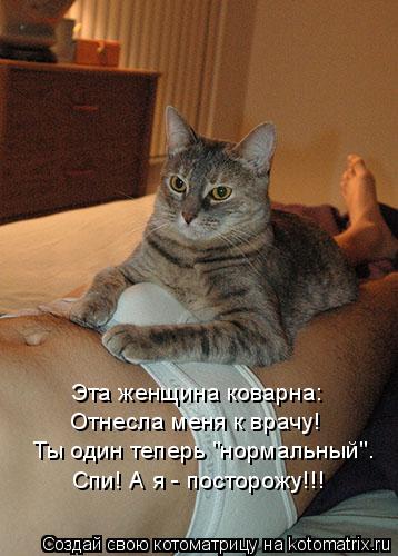 Котоматрица: Эта женщина коварна: Отнесла меня к врачу! Ты один теперь "нормальный". Спи! А я - посторожу!!!