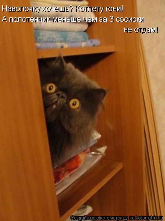 Наволочку хочешь? Котлету гони! А полотенчик меньше чем за 3 сосиски не отдам!... Котоматрица: Наволочку хочешь? Котлету гони! А полотенчик меньше чем за 3 сосиски не отдам!