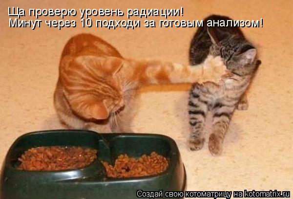 Минут через 10 подходи за готовым анализом! Ща проверю уровень радиации!... Котоматрица: Минут через 10 подходи за готовым анализом! Ща проверю уровень радиации!