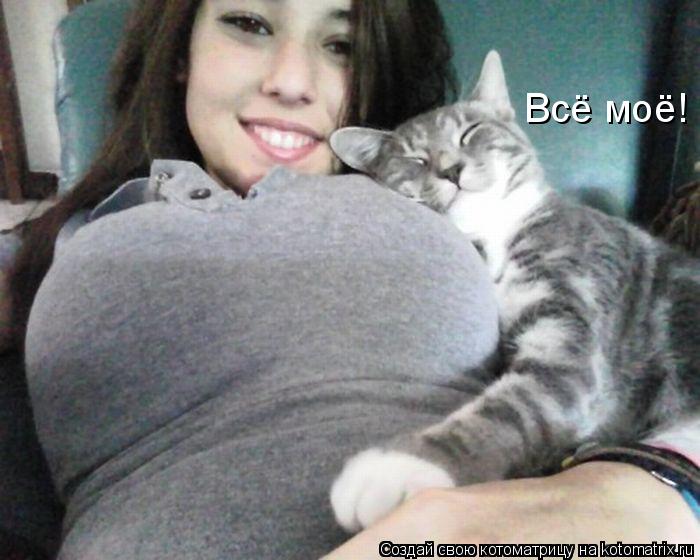 Котоматрица: Всё моё!